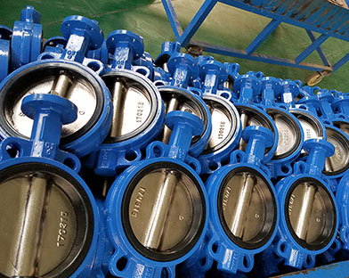 Butterfly valve application and selection principle