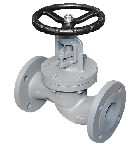 CS Globe Valve2