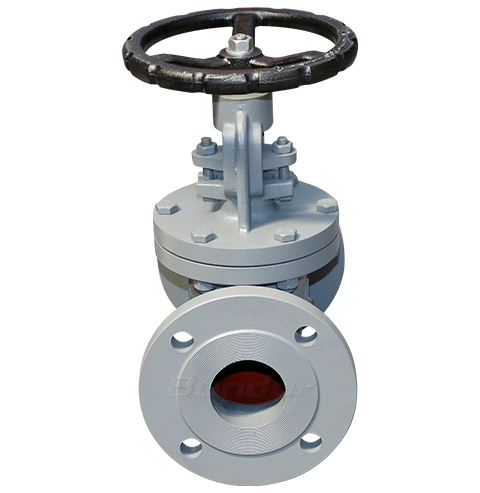 CS Globe Valve3