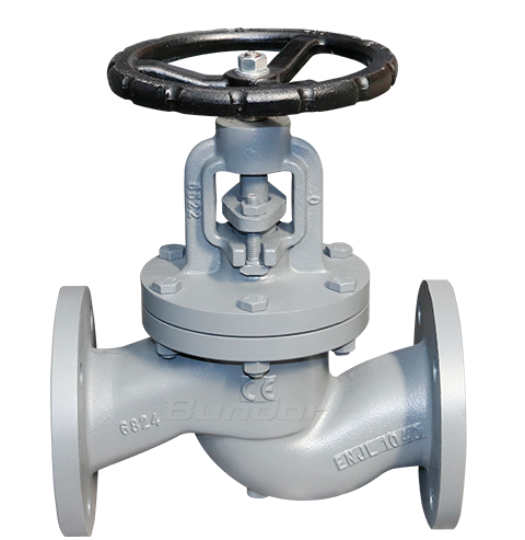 CS Globe Valve