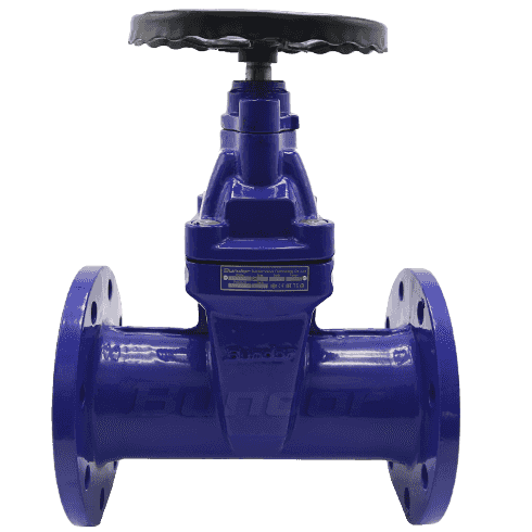 DIN F5 Resilient Gate Valve1