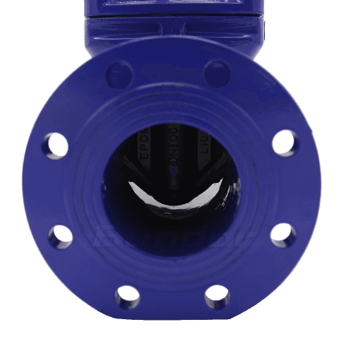 DIN F5 Resilient Gate Valve4