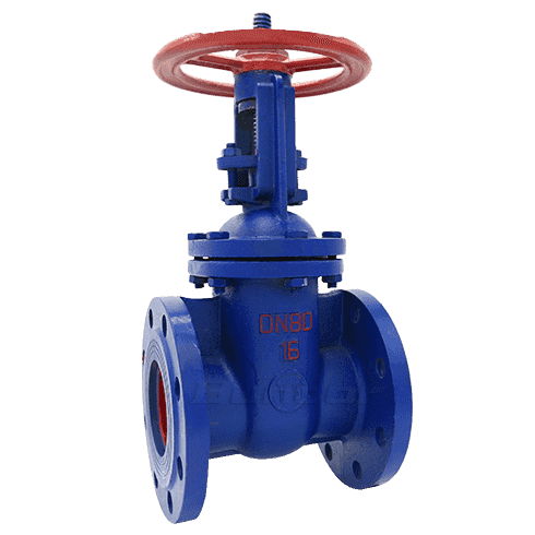 Rising Stem Gate Valve1