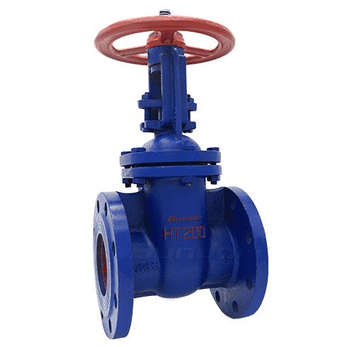 Rising Stem Gate Valve4