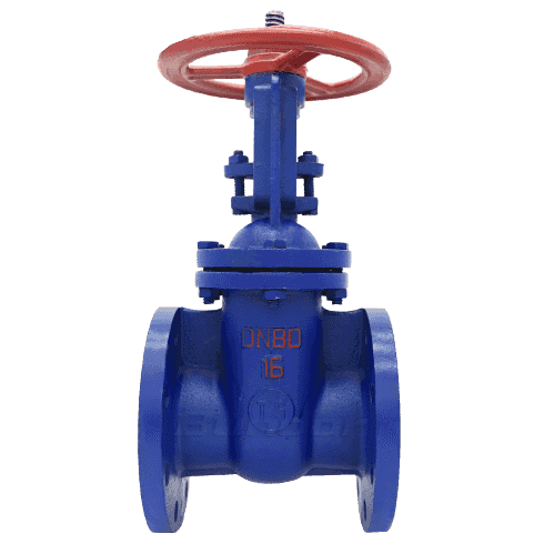 Rising Stem Gate Valve2