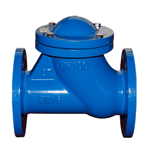 Rubber Flap Check Valve1