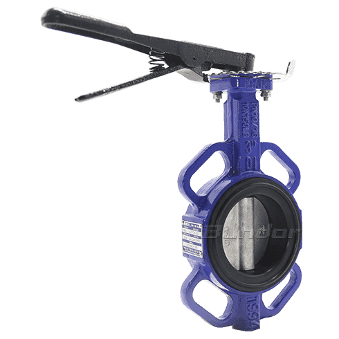 Replaceable Seat Butterfly Valve4