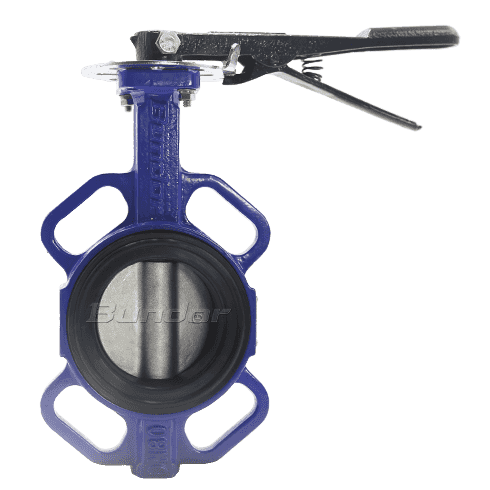 Replaceable Seat Butterfly Valve