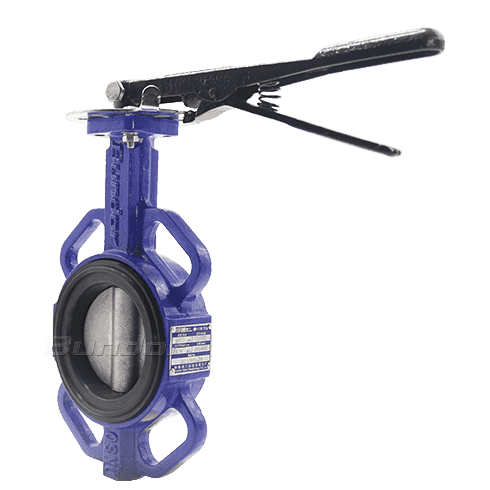 Replaceable Seat Butterfly Valve3