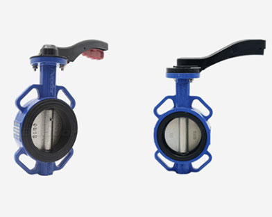 butterfly valve