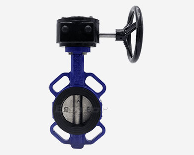 Butterfly valve model representation