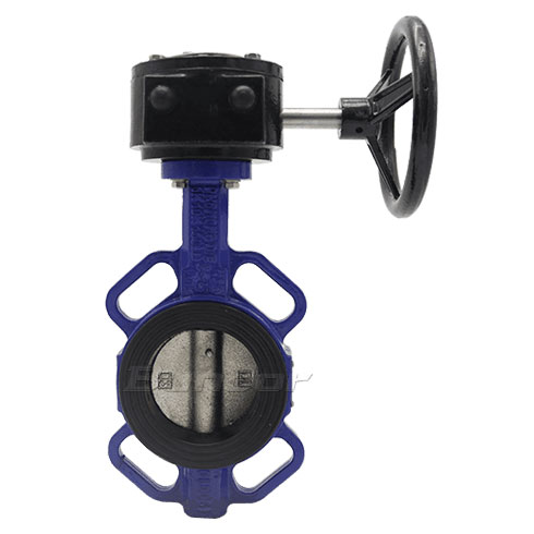 Soft sealing butterfly valve