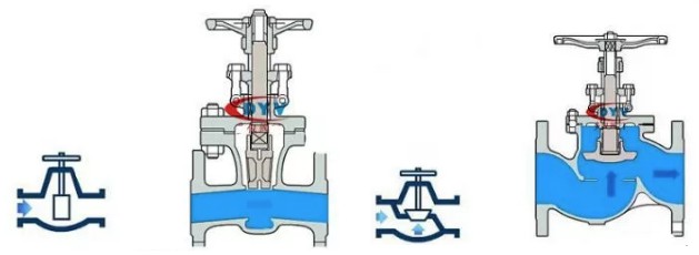 globe valve and gate valve