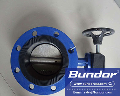 soft seal butterfly valve