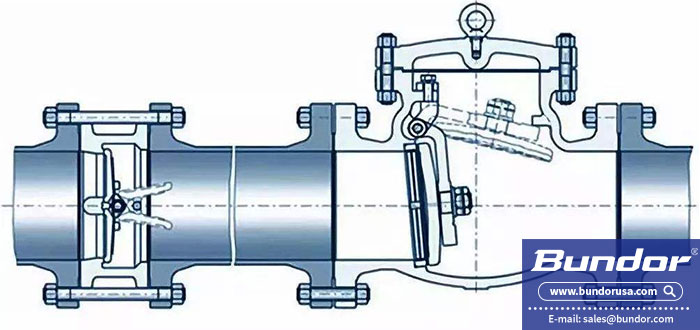 Check valve