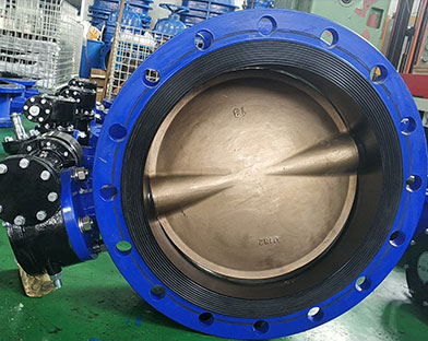 Bundor worm gear flange butterfly valve  export to the Philippines