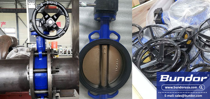 butterfly valve