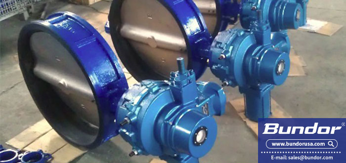 Electric butterfly valve