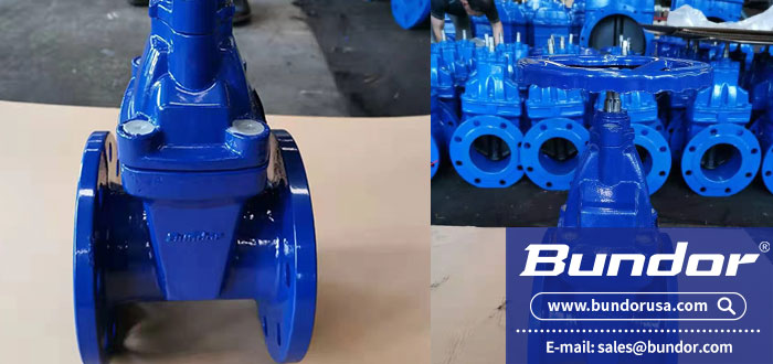 Flange gate valve