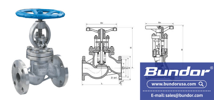 Globe valve 