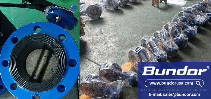 Flange butterfly valve 