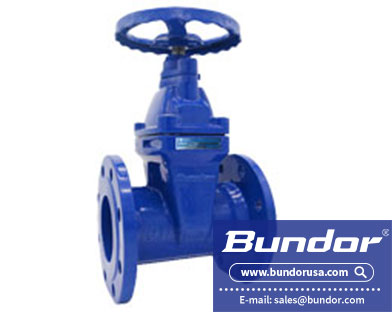 gate valve