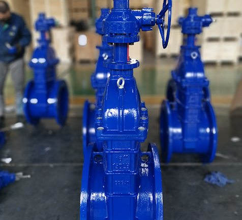A European company purchases the soft-seal gate valve of Bundor for government projects