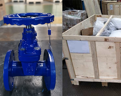 A company in Southeast Asia purchases the soft seal gate valve of Bundor