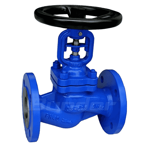 Bellows Globe Valve