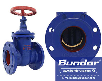 gate valve