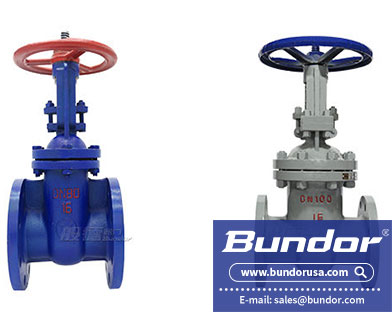 gate valve