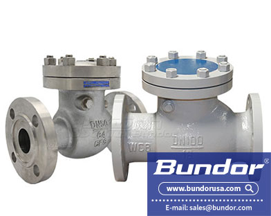 Swing check valve