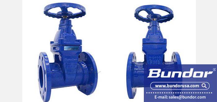 Soft seal gate valve