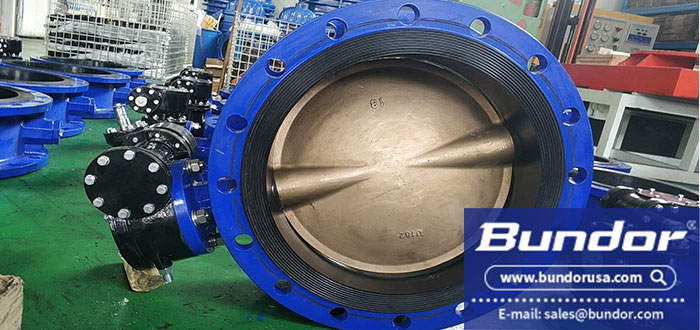 Worm gear operated butterfly valve