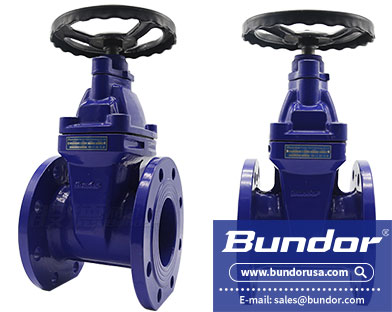 gate valve