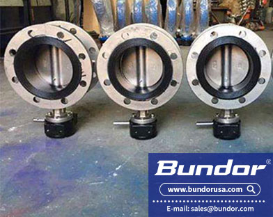 ss304 butterfly valve