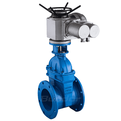 Electric soft seal gate valve2