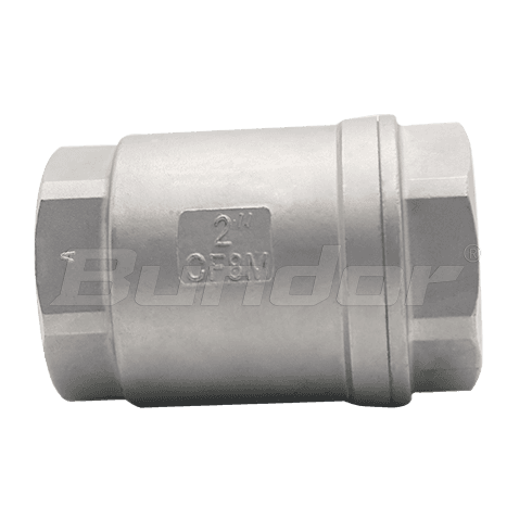 Stainless Steel Lift Check Valve1