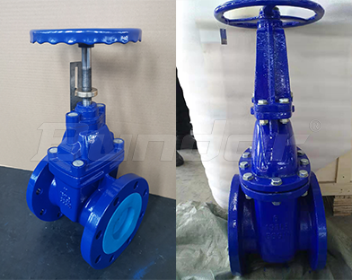 Bundor soft seat gate valve, hard seat gate valve, etc. exported to Italy