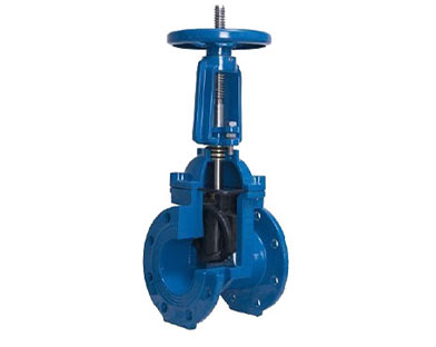 Structure of rising stem gate valve