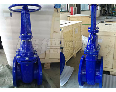 Bundor soft seal gate valve, hard seal gate valve, etc. exported to Italy