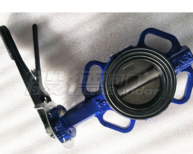 Bundor Wafer Butterfly Valve Products Exported to Malaysia