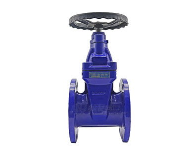 Soft seat gate valve picture