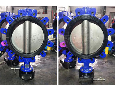 Bundor Lug Butterfly Valve exported to a region of Southeast Asia