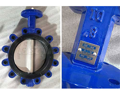  A company in Southeast Asia purchased Bundor lug butterfly valves