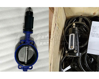 A Saudi company purchase Bundor marine worm gear butterfly valve