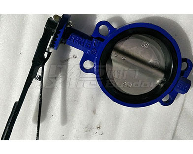 Bundor cast iron butterfly valve and check valve products exported to Indonesia