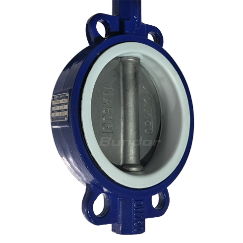 Worm Gear PTFE Seat Butterfly Valve3