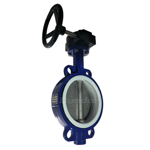 Worm Gear PTFE Seat Butterfly Valve2