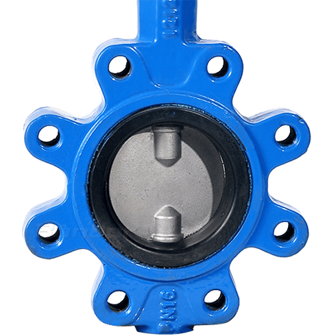 Double Stem Lug Butterfly Valve2